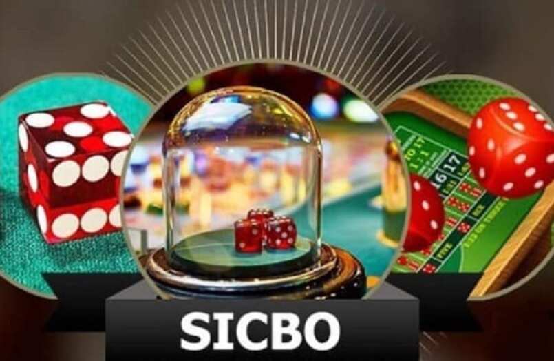 Một bàn cược Sicbo bao gồm ba viên xúc xắc